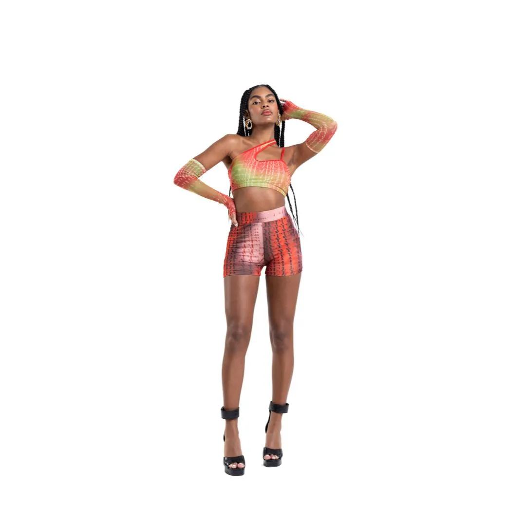 Biker Luminous Estampado